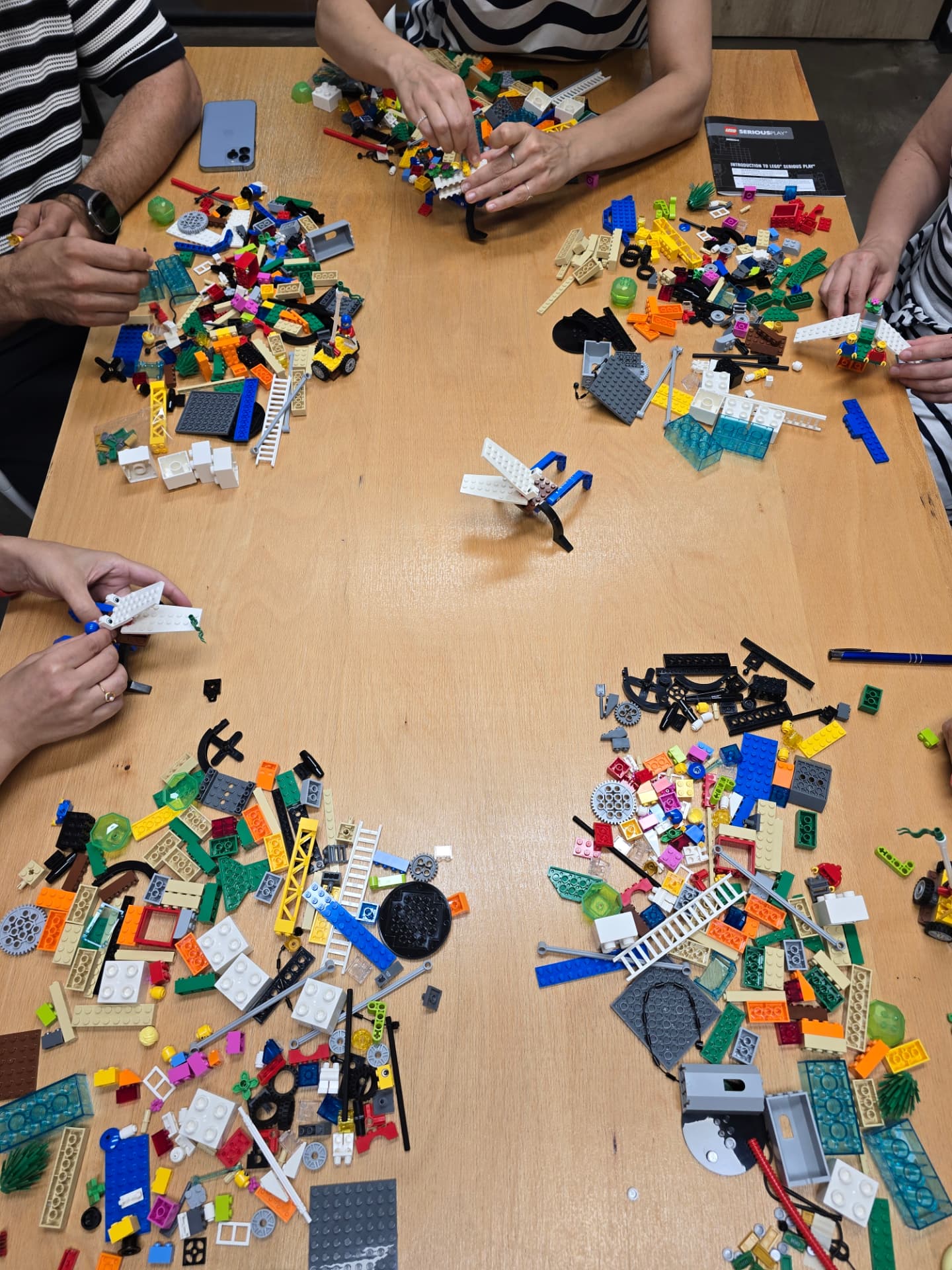 Individual LSP build — a metaphor figure